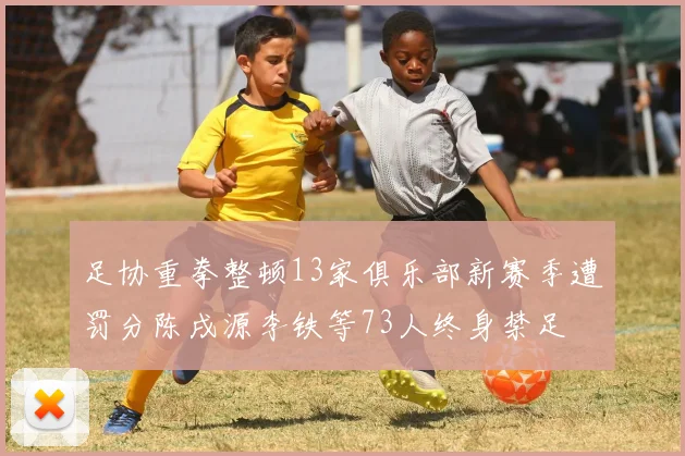 足协重拳整顿13家俱乐部新赛季遭罚分陈戌源李铁等73人终身禁足
