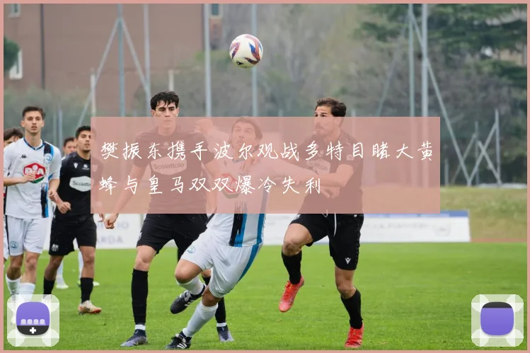 樊振东携手波尔观战多特目睹大黄蜂与皇马双双爆冷失利